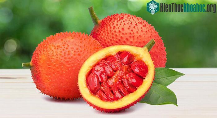 Quả gấc rất giàu chất chống oxy hóa và do đó giúp ngăn ngừa các bệnh tim mạch.