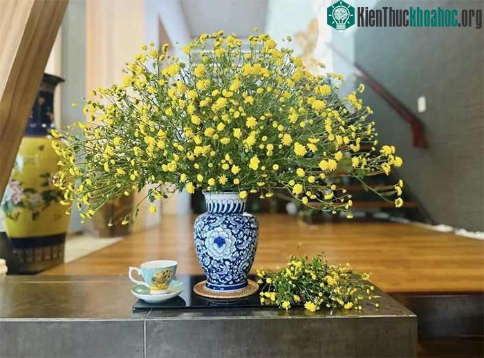 Mua được hoa cúc chi về cắm bình, chị Thúy Toàn phấn khởi khoe thành quả.