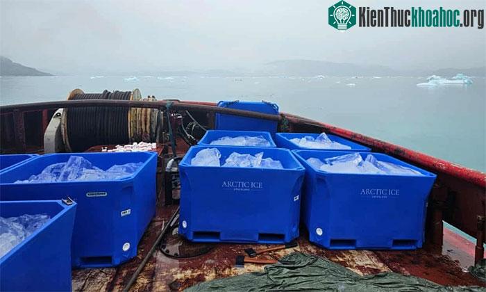 Băng đen được khai thác ở các vùng vịnh hẹp và sau đó vận chuyển đến Dubai.