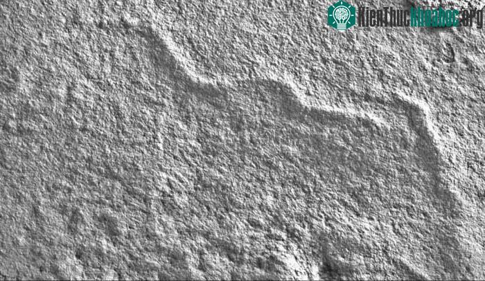 Hóa thạch Ediacaran chứa nhiều loài ngày nay trông giống hình dạng giống sâu bọ.