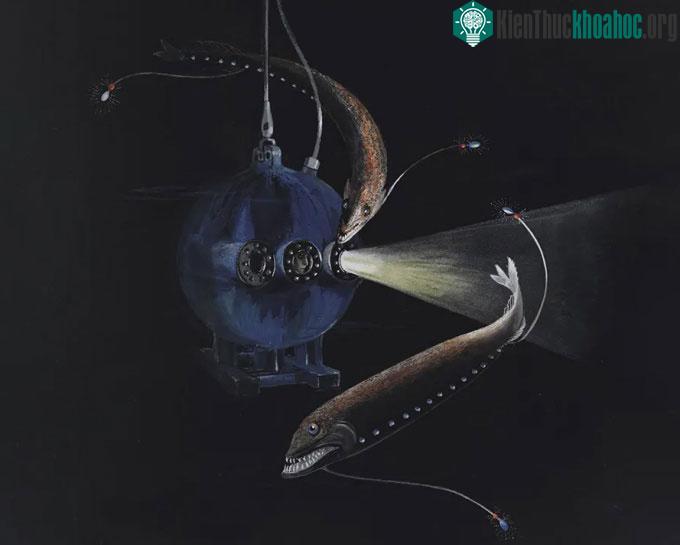 Mô phỏng tàu lặn Bathysphere hoạt động dưới biển sâu.