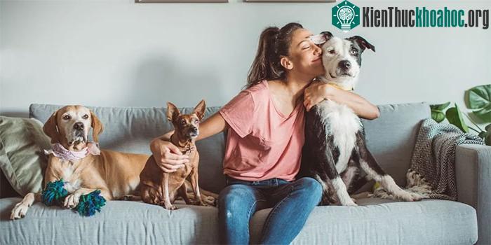 Nên rửa tay với xà phòng sau khi chơi đùa với chó, mèo.