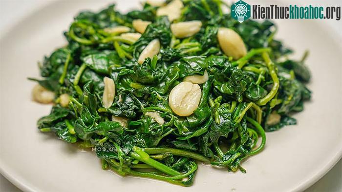 Lá mồng tơi có chứa khá nhiều sắt.