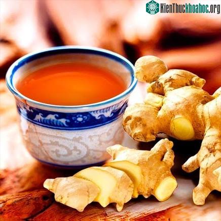 Gừng&nbsp; tác dụng tán hàn, long đờm, thường được sử dụng để chữa các chứng phong hàn...