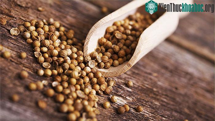 Hạt rau mùi già có màu nâu sậm nhẹ