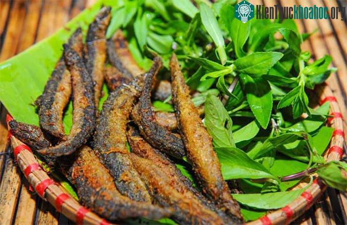 Cá chạch rất giàu protein và các nguyên tố sắt