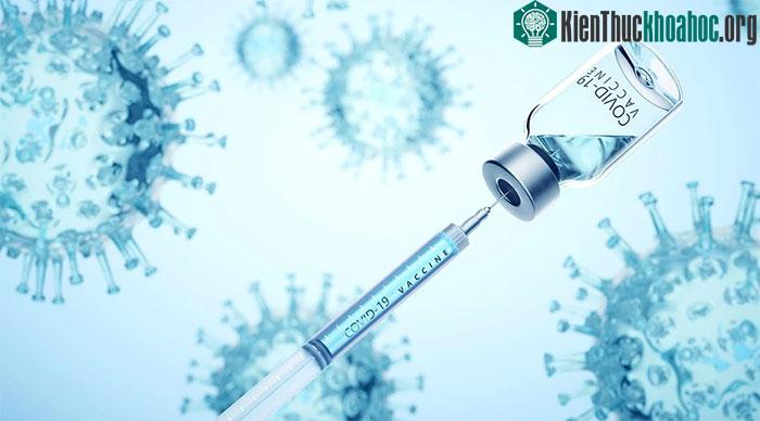 Ở mỗi độ tuổi lại được khuyến nghị tiêm các loại vaccine khác nhau.