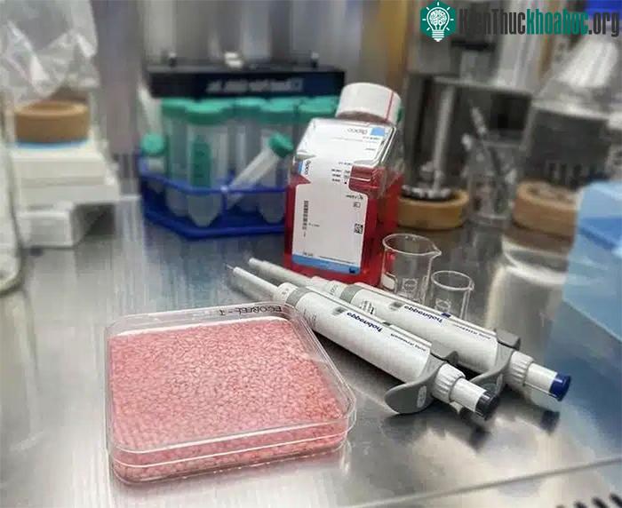 Cơm lai thịt bò được tạo từ cơ bò và tế bào gốc mỡ.