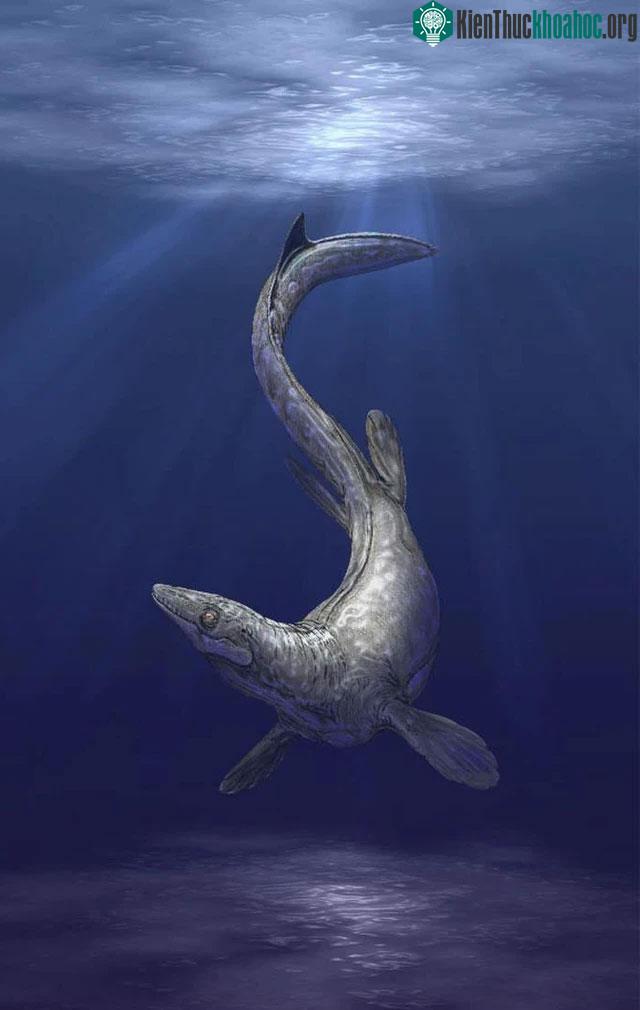Sarabosaurus dahli
