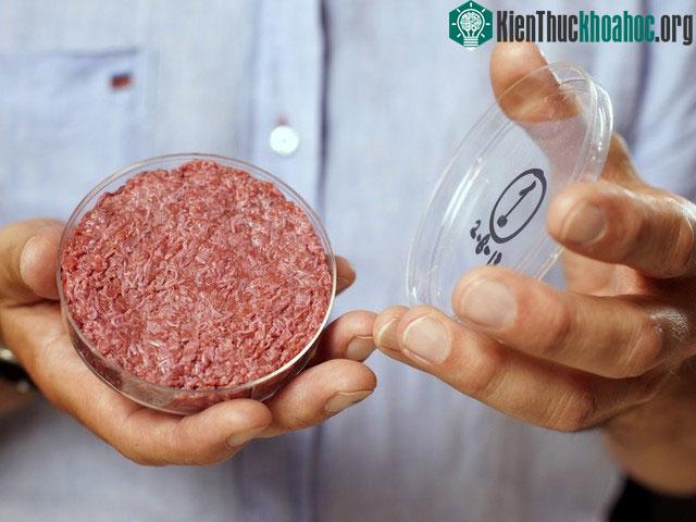 Ăn quá nhiều thịt đỏ và thịt chế biến sẵn dễ mắc nhiều bệnh nguy hiểm