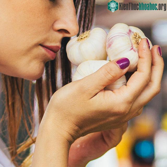 Nên và không nên ăn gì khi bị sốt? ảnh 2