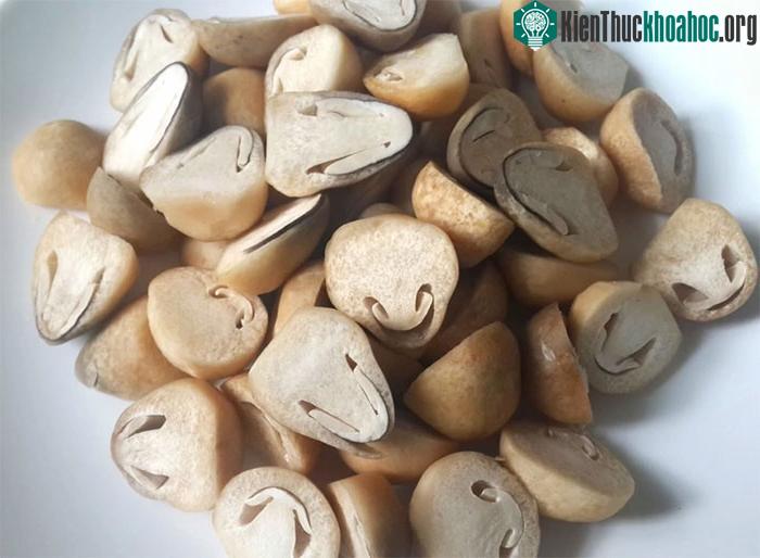 Các chất chống oxy hoá trong nấm rơm có khả năng bảo vệ tế bào khỏi các tổn thương