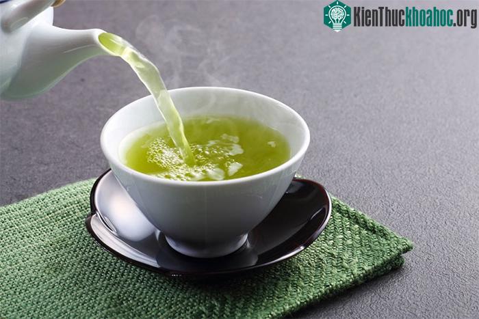 Trà xanh giúp loại bỏ sự tích tụ mỡ trong gan và thúc đẩy chức năng gan