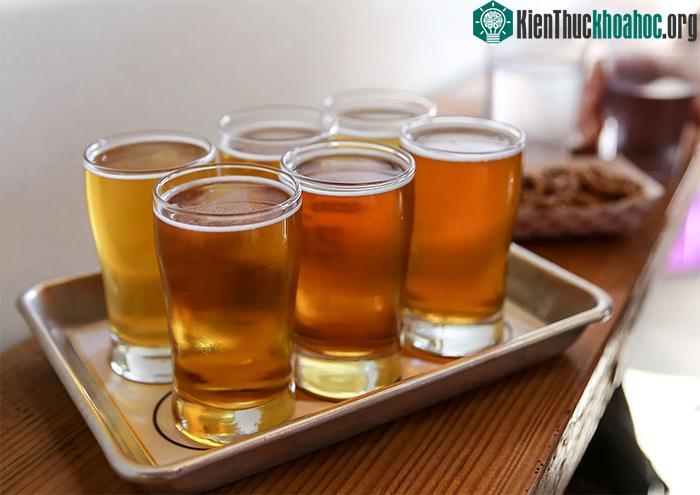 Hàng nghìn năm qua, con người đã khám phá cách tạo ra nhiều loại bia khác nhau
