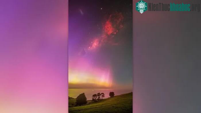 Richard Zheng chụp ảnh cực quang tím trên Bán đảo Dunedin ở New Zealand.