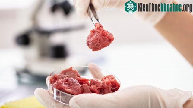Hé lộ sự ra đời của thịt nhân tạo: Những câu chuyện đầy bất ngờ nào đang được ẩn giấu? ảnh 3