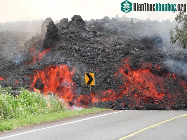 Sóng xung kích có thể phá hủy cấu trúc tế bào của thực vật.