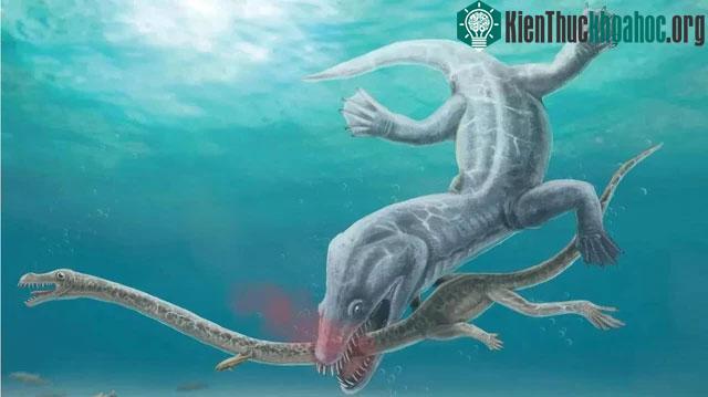 "Chúa tể ma" bí ẩn đã tàn sát quái vật biển khổng lồ