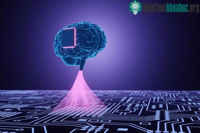 Hệ thống Brainoware
