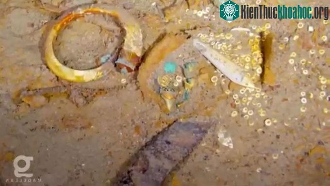 Vòng cổ chứa răng cá mập Megalodon