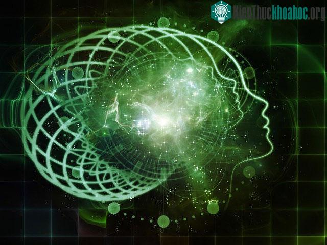 Mạng lưới thần kinh vũ trụ không hoàn toàn đóng kín và nó sẽ bị rò rỉ ở một mức độ nhất định