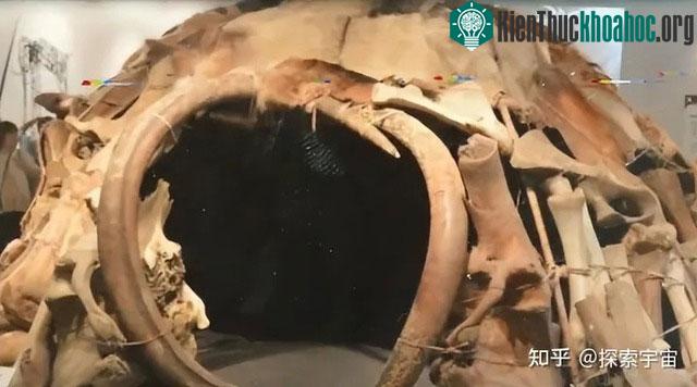 Nhà làm từ xương voi ma mút.