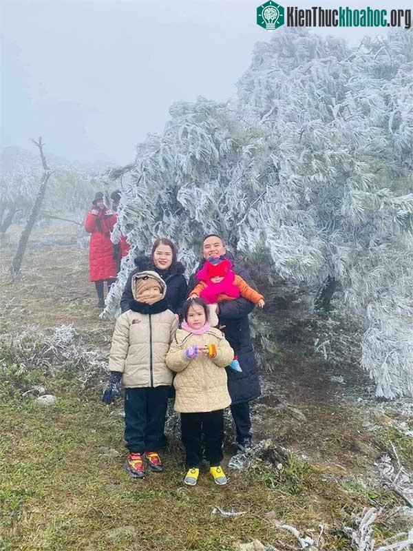 Mẫu Sơn 3 ngày liên tiếp xuất hiện băng giá, khung cảnh kỳ ảo như ở châu Âu ảnh 5