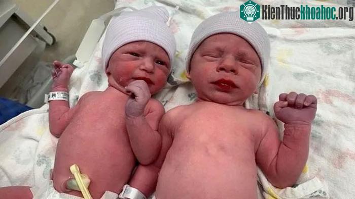 Lydia và Timothy Ridgeway được sinh ra từ phôi thai được đông lạnh lâu nhất