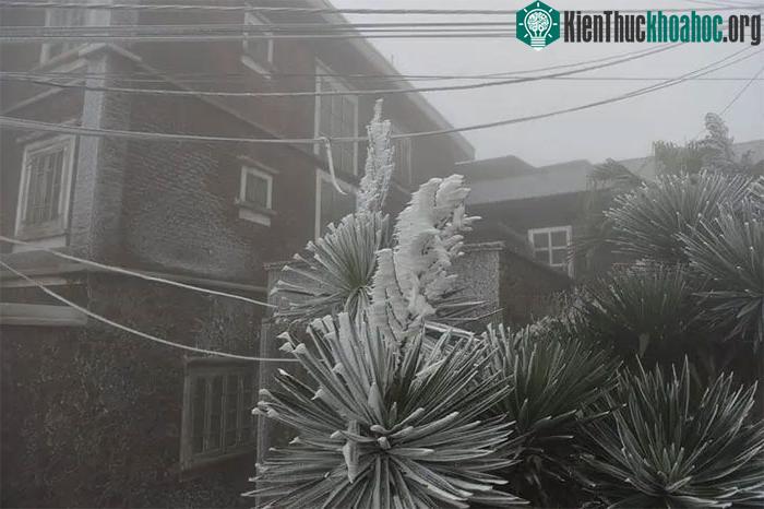 Mẫu Sơn 3 ngày liên tiếp xuất hiện băng giá, khung cảnh kỳ ảo như ở châu Âu ảnh 7