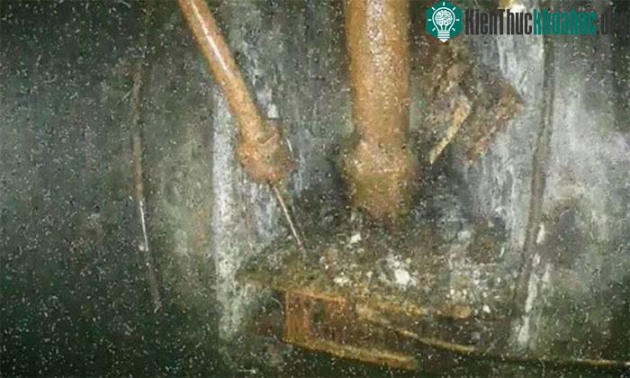 Những vật thể màu nâu với đủ hình dạng và kích thước treo lơ lửng ở trụ đỡ.
