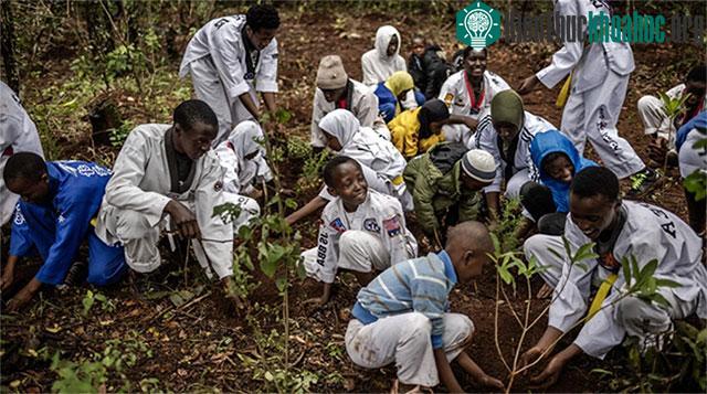 Kenya có ngày nghỉ lễ trồng cây trên toàn quốc vào ngày 13 tháng 11 hằng năm.