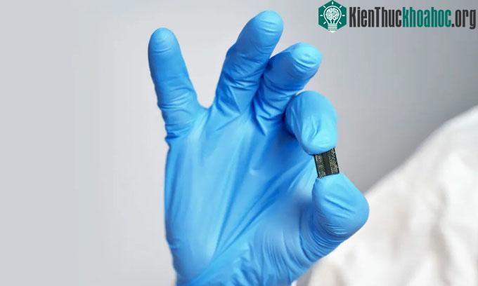 Một con chip máy tính nhỏ.