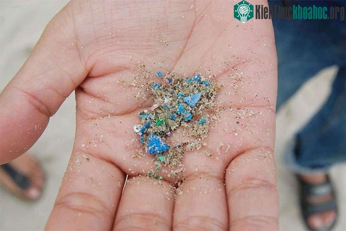 Rác nhựa có mặt ở khắp mọi nơi