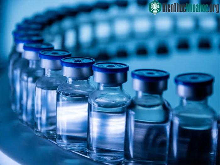 Các nhà khoa học đã phát triển vaccine LungVax.