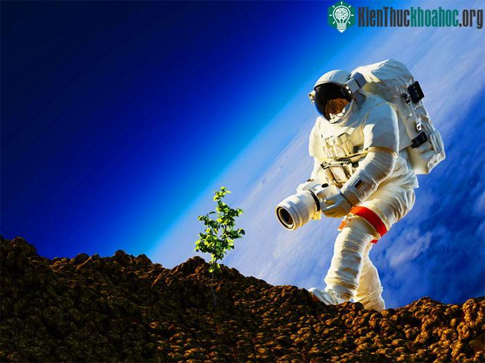 Phi hành gia Chương trình Artemis sẽ mang cây trồng lên Mặt trăng vào năm 2026.