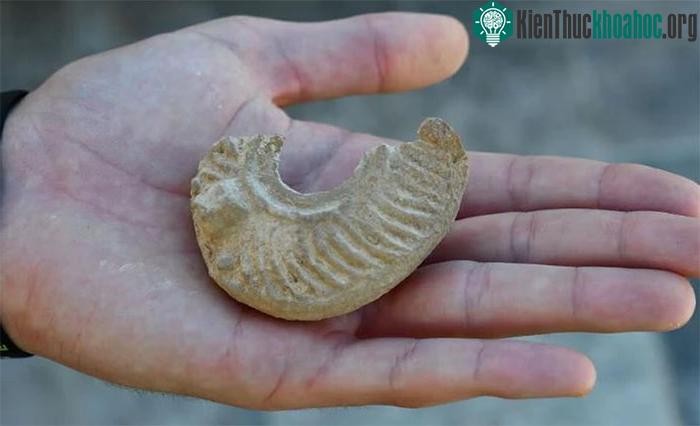 Hiện vật này được một học sinh phát hiện tại pháo đài cổ trên trong chuyến tham quan cùng lớp.