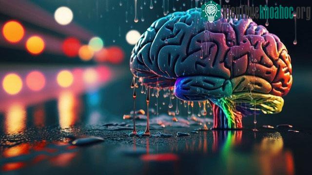 Các bước sóng phát ra sau đó truyền tới mắt chúng ta, giúp chúng ta cảm nhận được màu sắc.