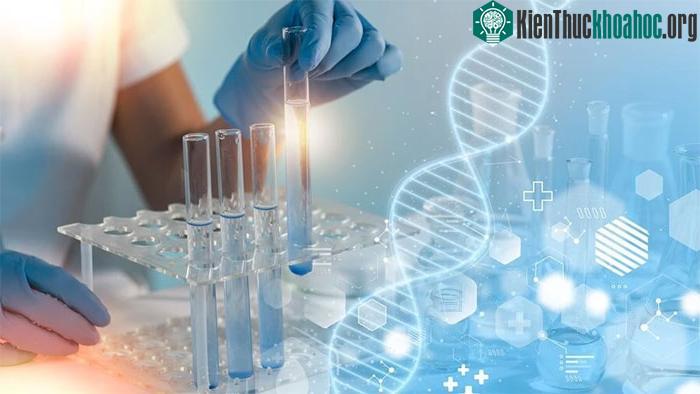 Các nhà khoa học đã tìm cách tạo ra phương pháp điều trị chứng rối loạn di truyền MLD