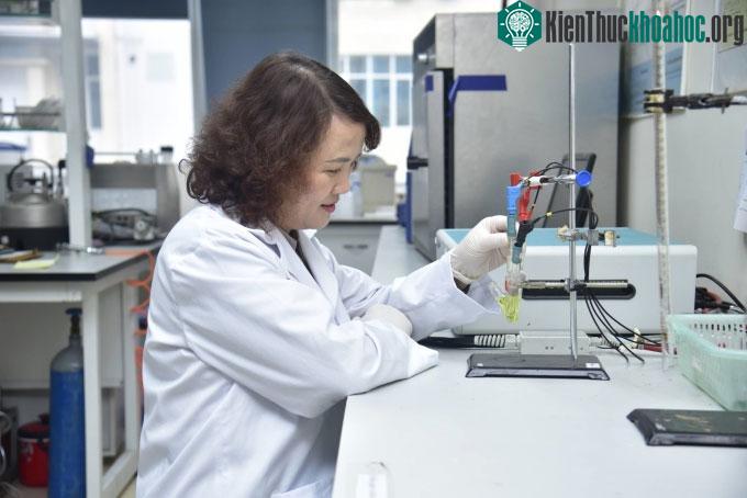 GS.TS Đinh Thị Mai Thanh nghiên cứu tại phòng thí nghiệm.