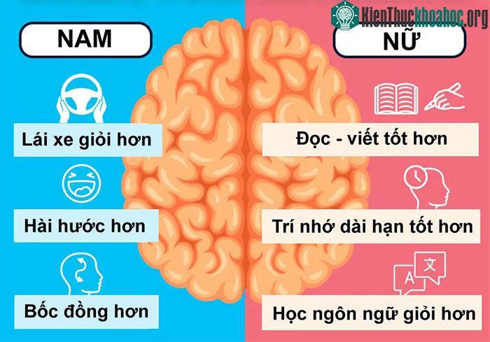 Sự khác biệt giữa nam giới và nữ giới.