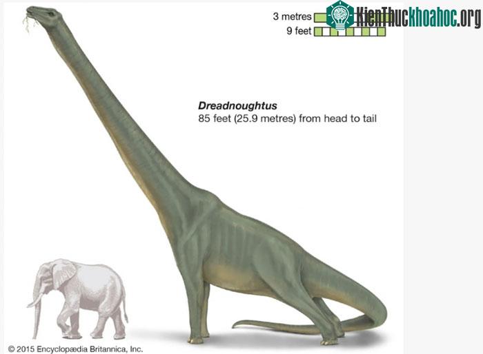 Dreadnoughtus