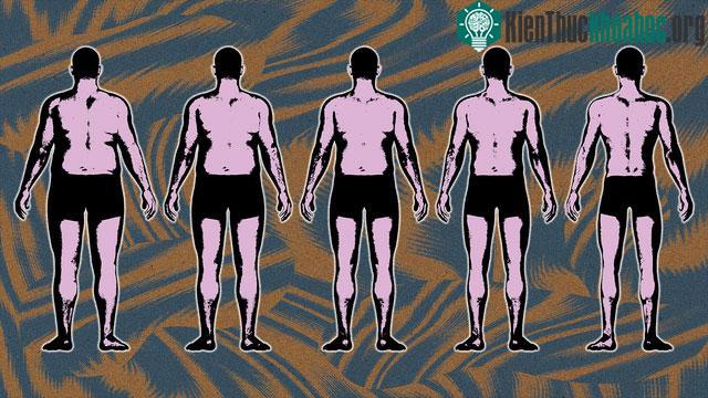 Một nghiên cứu cho thấy sự tích tụ mỡ quanh cổ có liên quan chặt chẽ đến tỷ lệ mắc bệnh tim.