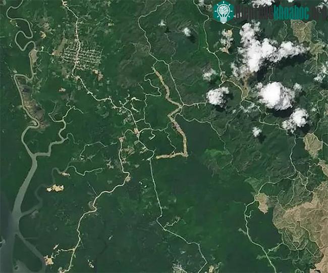 Ảnh vệ tinh cho thấy thủ đô mới nhất trên thế giới đang hình thành ảnh 0