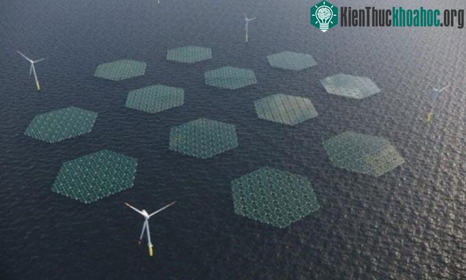 Kết hợp với turbine gió, pin quang năng đặt trên mặt nước sẽ giúp tăng sản lượng điện sạch.