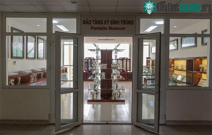 Bảo tàng ký sinh trùng nằm ở tầng 9 tại tòa nhà trung tâm của Viện Sốt rét