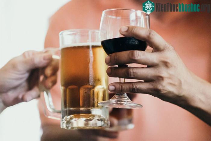 Cồn nội sinh và cồn do bia rượu đều là cồn ethanol.