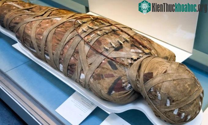 Sông Nile có thể là nguồn lây ký sinh trùng cho người Ai Cập cổ đại