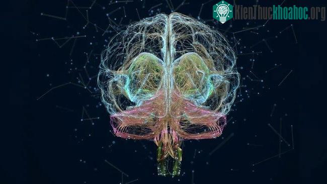 Neuralink vừa triển khai thử nghiệm đầu tiên trên người nhưng đang bị tranh cãi về đạo đức.