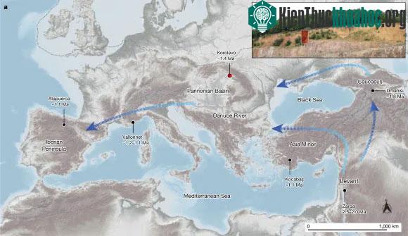 Báu vật 1,42 triệu tuổi từ loài người khác lộ diện ở Ukraine ảnh 0