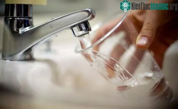 Vi nhựa và nhựa nano có mặt khắp nơi trên Trái đất.